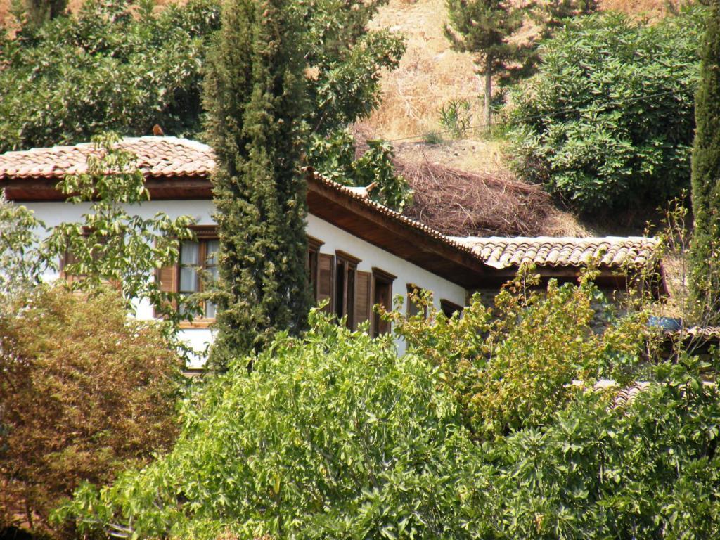 Terrace Houses Sirince Selcuk Pokoj fotografie