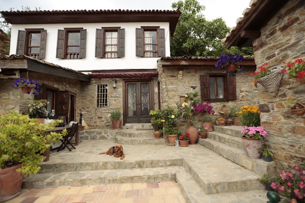 Terrace Houses Sirince Selcuk Exteriér fotografie
